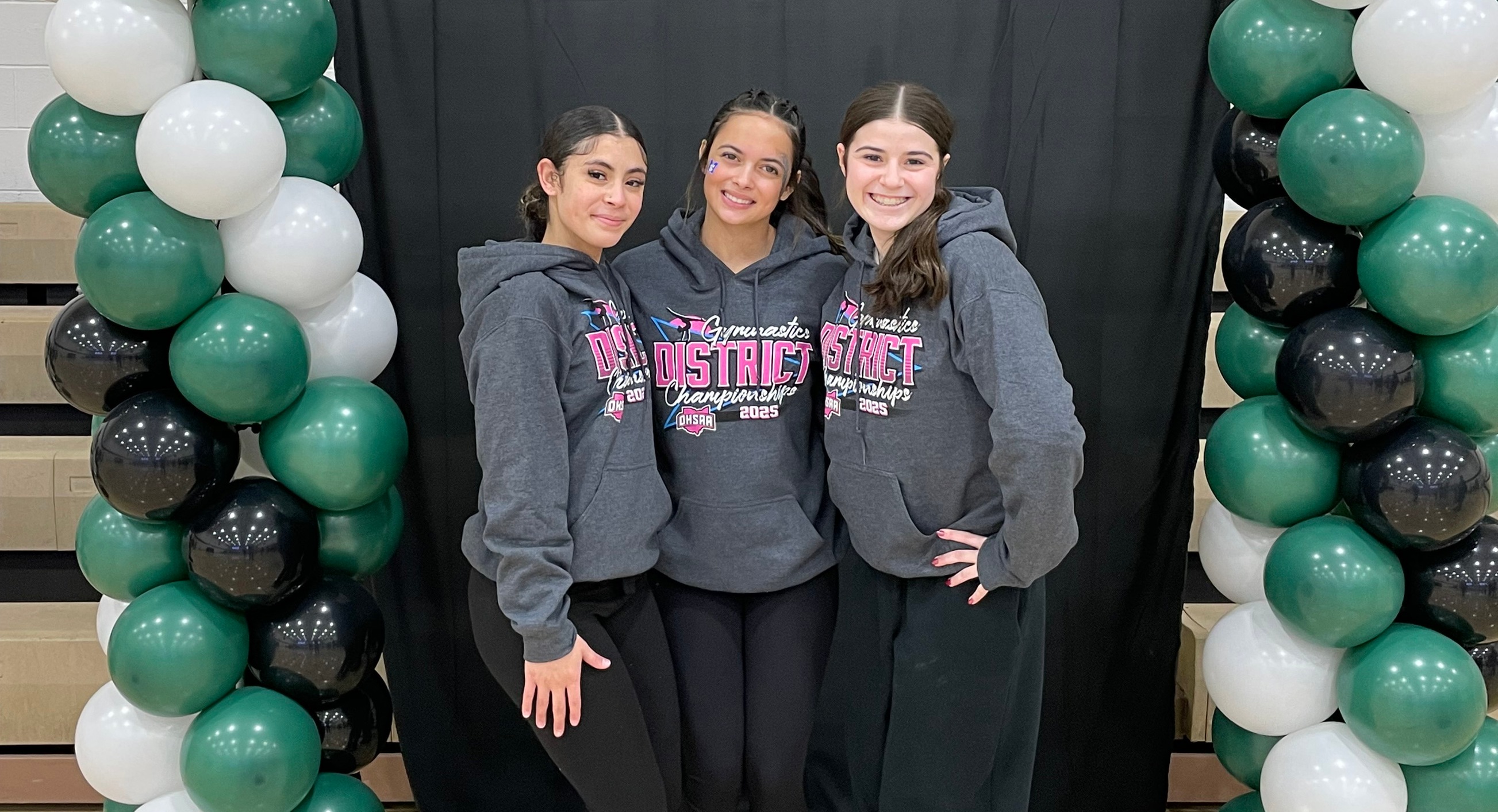 Gymnastics ends season at OHSAA District Championship