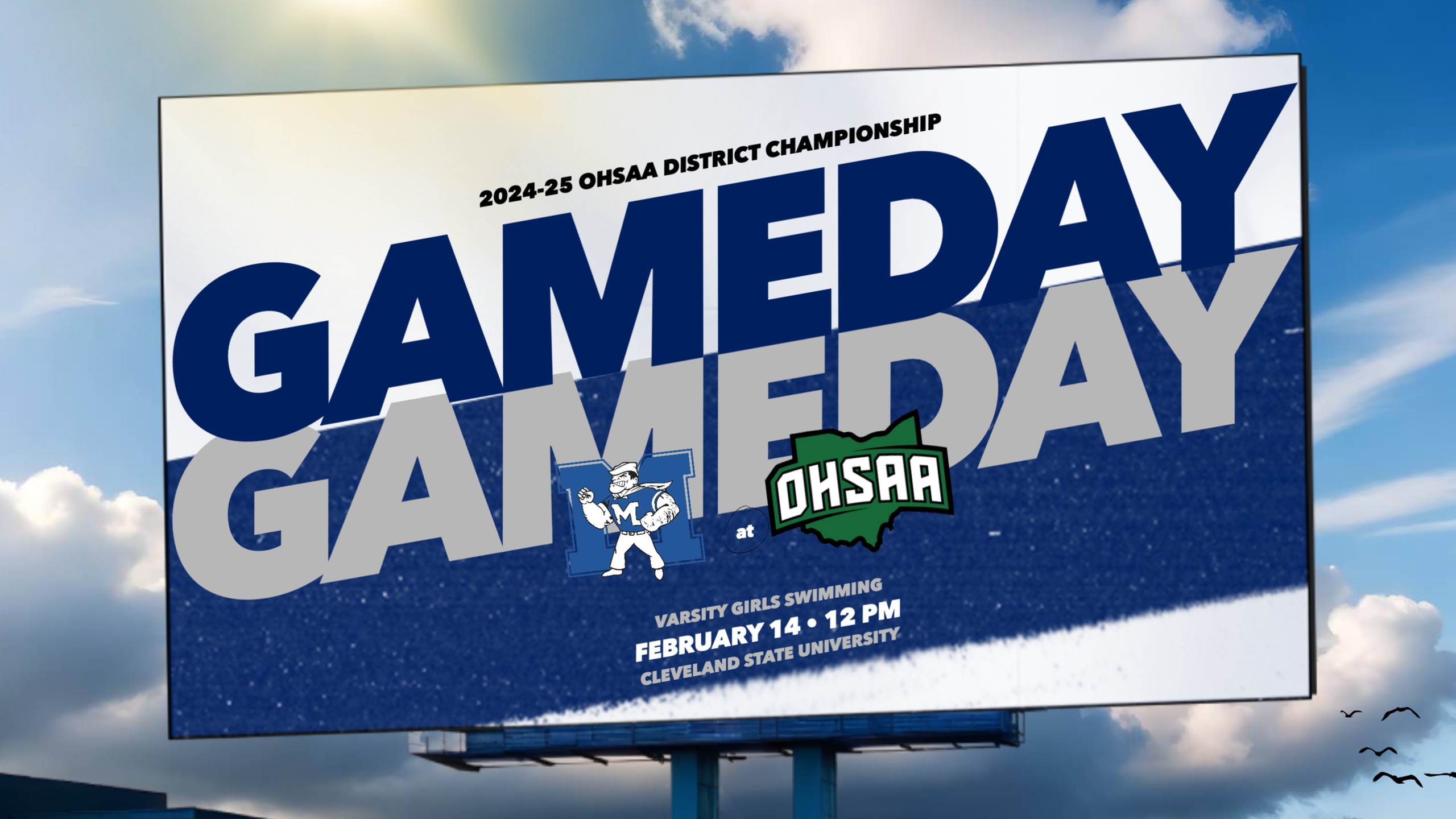 Henely to compete in two events at the OHSAA District Swimming Championship
