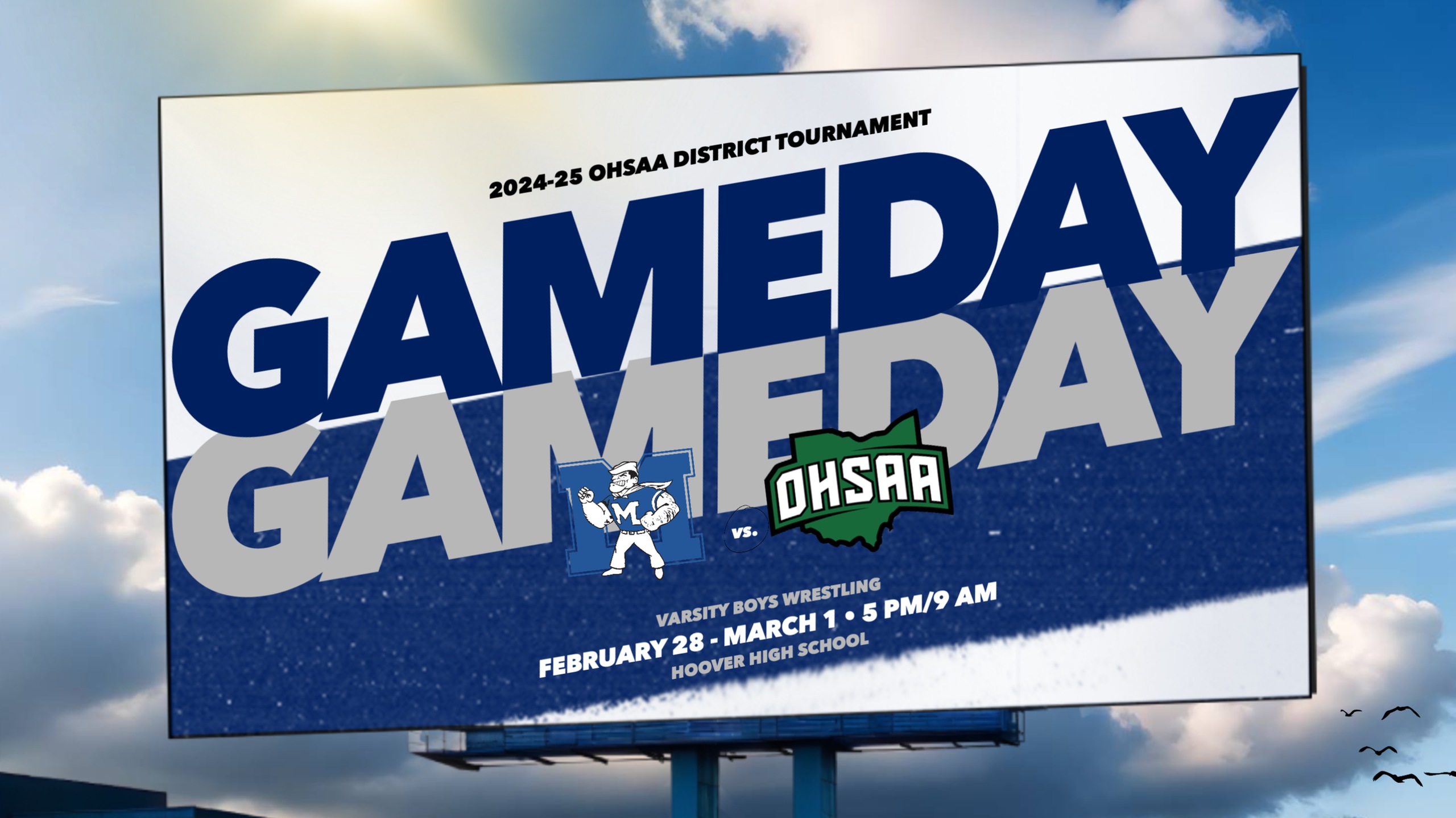 7 Boys Wrestlers to compete at Hoover District Tournament