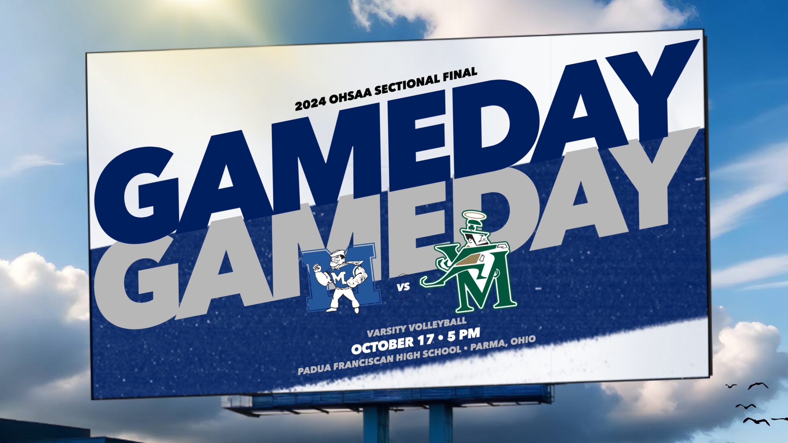 Midview Volleyball to battle St. Vincent-St. Mary in OHSAA Tournament opener on October 17