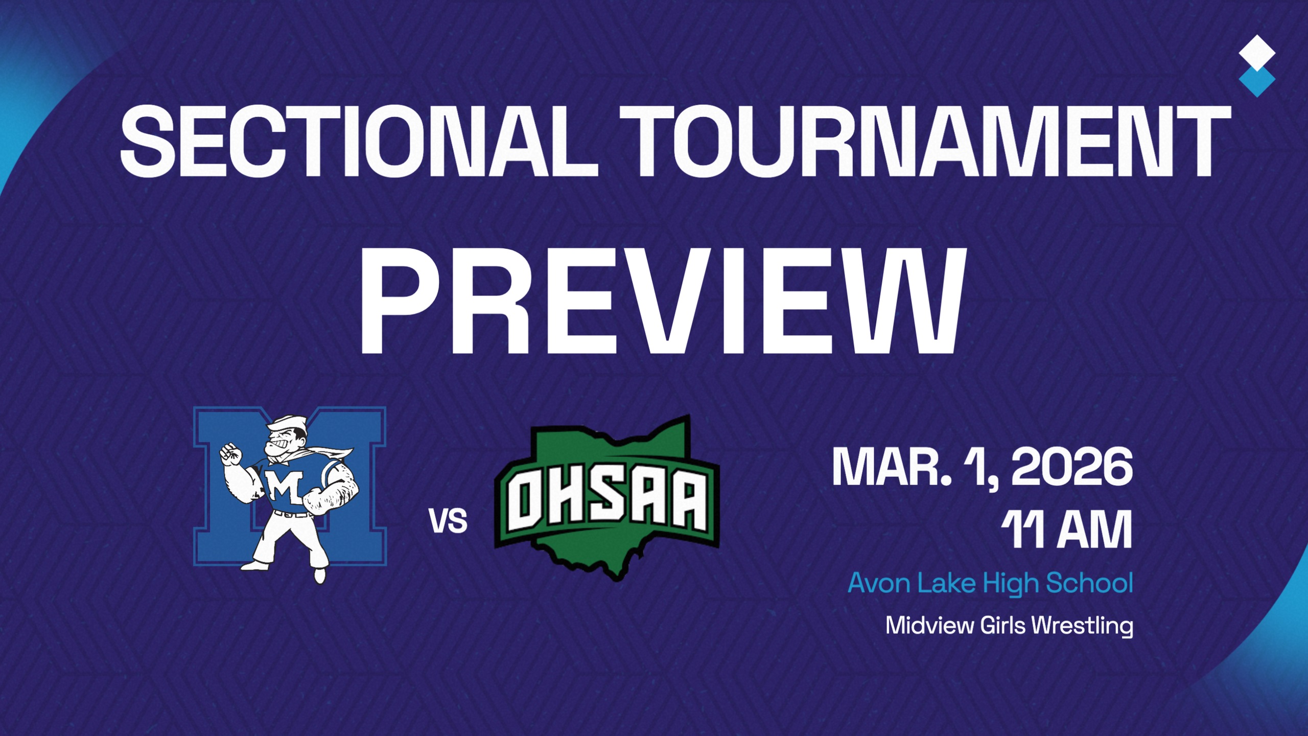 Midview Girls Wrestling to compete at OHSAA Avon Lake Sectional on March 1